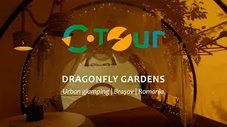 DRAGONFLY GARDENS - Urban glamping