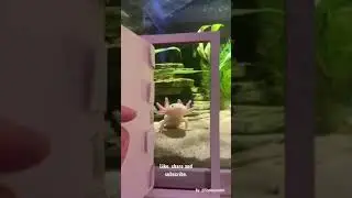Minecraft - Axolotls - Axalote - Salamander - Salamandra