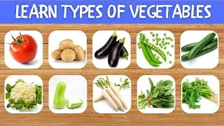 Vegetable Names | Types of Vegetables | Root Vegetable, Leafy Vegetables, Gourds, Melon | Aster Buds