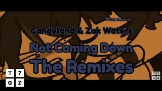 Candyland & Zak Waters - Not Coming Down (Tchami Remix) (Audio)