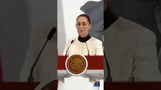 Mexico's Sheinbaum condemns US immigration raids, says 355 Mexicans detained | Geo News English