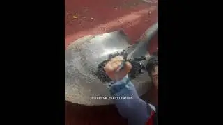 Xd hice un video como hacer  una fogata segura  de mu&ntilde;ecos