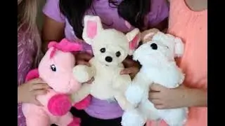 The Meaning of Stuffed Animals in Dreams/Biblical Dream Interpretation!
