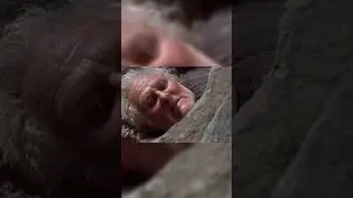 The Most EVIL Execution in the Salem Witch Trials&hellip; 💀