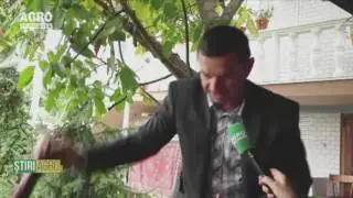 Secretul unui vin de calitate