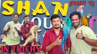 EXPLORING SHAN AQUA PET SHOP IN TRICHY , PETS AT AFFORDABLE PRICE 💖 😍