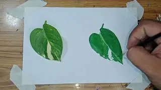 leaf 🍀 painting||AMCalligraph006||#amcalligraph006 #calligraphy #artist #modrencalligraphy