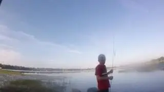 Big fish gone wrong
