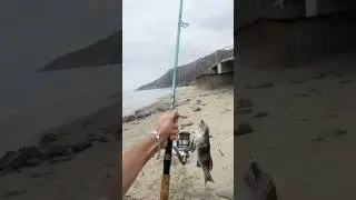 I Caught This Fish On A Broken Rod!!
