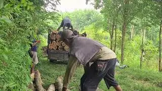 Rural Men Transporting Firewood with Pure Strength #RuralAgriculture #TraditionalFarming