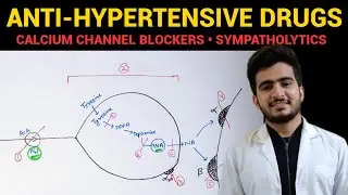 Anti-Hypertensive Drugs - 3 | CVS Pharmacology | EOMS