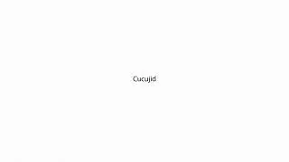 Cucujid PRONUNCIATION
