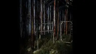 MIST SURVIVAL  GAMEPLAY PL CZĘŚĆ 32 # SUSZONE RYBY