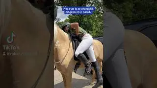 Hoe stap je zo vriendelijk mogelijk op je paard? #paard #paardrijden #opstappen #manege