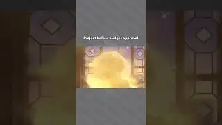 Project before and after budget approval