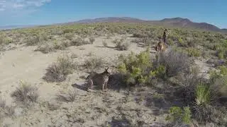 Video by Brad Higgins, July 2014. Me and Sophia, of course.