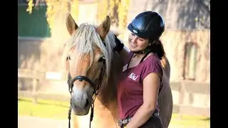 Meine Fekizeit // Pony Park Padenstedt