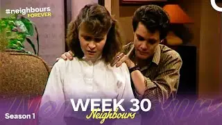 Week 30 | Episodes 146-150 | Neighbours 1985 (Season 1)