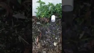 Clogged AC drain line