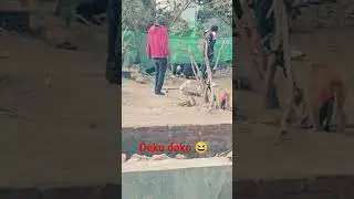 ,#viral video comedy Kalu madari 😁😁😁💯