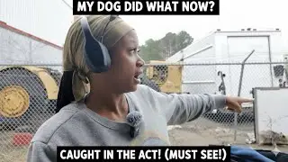 I swear my dog will pee anywhere and on anything !!