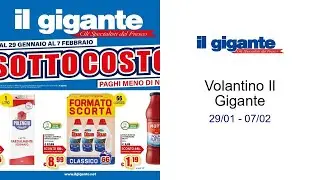 Volantino Il Gigante  29/01 - 07/02
