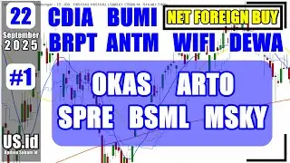 220925 NET FOREIGN BUY 22 09 25: CDIA BUMI BRPT ANTM WIFI DEWA OKAS ARTO SPRE BSML MSKY