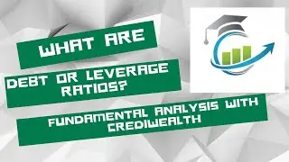 Financial Ratios : What are  Debt or Leverage ratios? @crediwealth