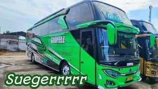 giofell ijo kereeen bos