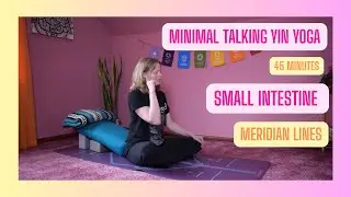 45 Minute Minimal Talking Yin Yoga for the Small Intestine Meridian Line