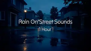 Rain on a Quiet Neighborhood Street • 1 Hour Night Ambience (No Music)