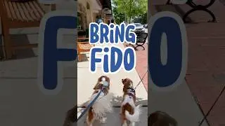 Bring Fido to the Sandhills of North Carolina