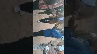 Andani 