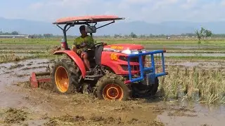 Traktor Yanmar EF393T operatornya Mas Ladi