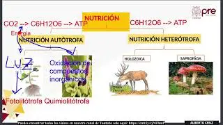 ✅ PRE SAN MARCOS 2020 II / Biolog&iacute;a semana 5