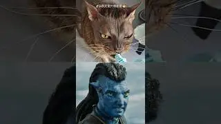 Найден КОТ АВАТАР Джейк Салли! #шортс