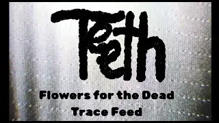 Flowers for the Dead-Teeth (Official Music Video)