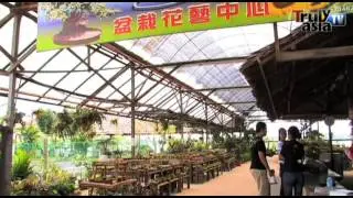 Reality Series-ZenXin Organic Farm new