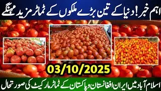 Today Tomato Price in Pakistan | Islamabad Market Rates | Afghan & Iranian Tomatoes Price