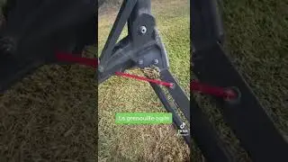 Antalya et ses golfs 🐿🐸🐶 et les petites b&ecirc;tes