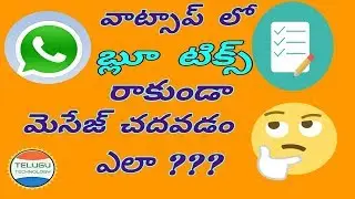 How to Read Whatsapp messages without blue ticks