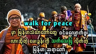 Walk for peace မှာ ဝင်လျှောက်တဲ့ မြန်မာသံဃ်ာတော် တစ်ပါး