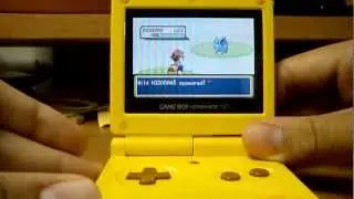 LIVE Shiny Nidoran ♂ after 16,486 RE's in the Safari Zone! win or fail?