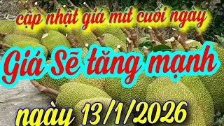 Jackfruit prices updated at the end of the day, January 13, 2026.