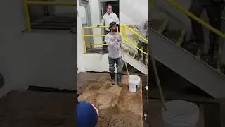antique-it concrete, Solomons training.