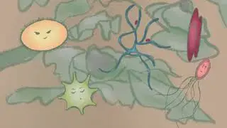An aMAIZEing concept - Promo Video iGEM Hamburg 2020