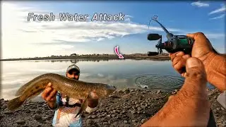 Best Fishing Spot In Fisch | Snackhead Fishing Rod And Reel | Fresh Water Fish