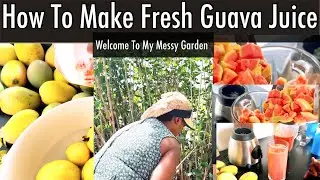 Cleaning Up My Messy Yard | Harvesting Fruits From My Garden | Spend The Day With Me