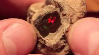 80ct Beautiful Shewa Ethiopia Opal Rough Specimen