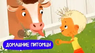 Домашние питомцы. Лучшие серии I Ася и Вася l мультфильмы для детей 0+